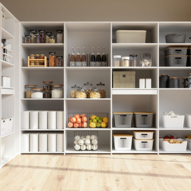 Organization