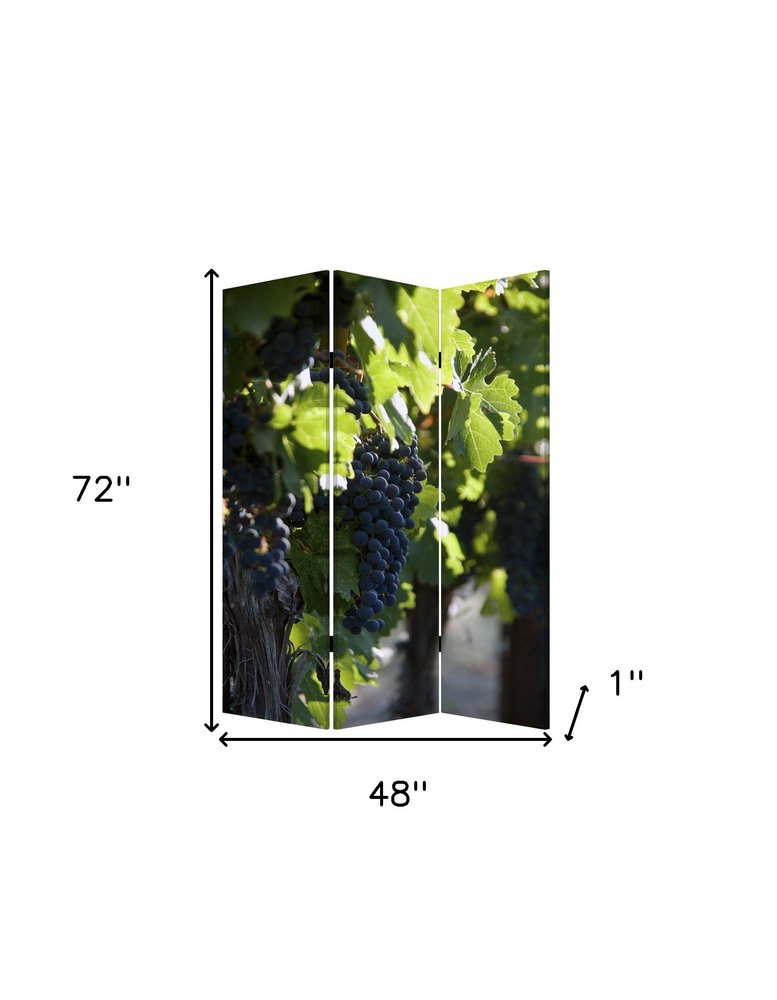48" X 72" Multi Color Wood Canvas Wine Country Screen