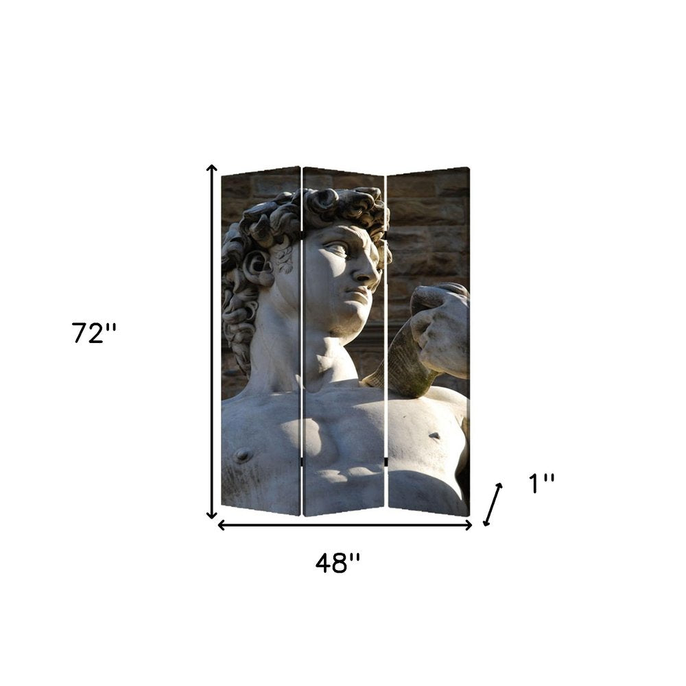 48" X 72" Multi Color Wood Canvas Rome Screen