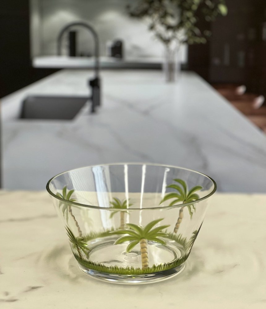 Servicio de cuatro piezas de acrílico con diseño de palmera, transparente y verde, para cuatro cuencos.