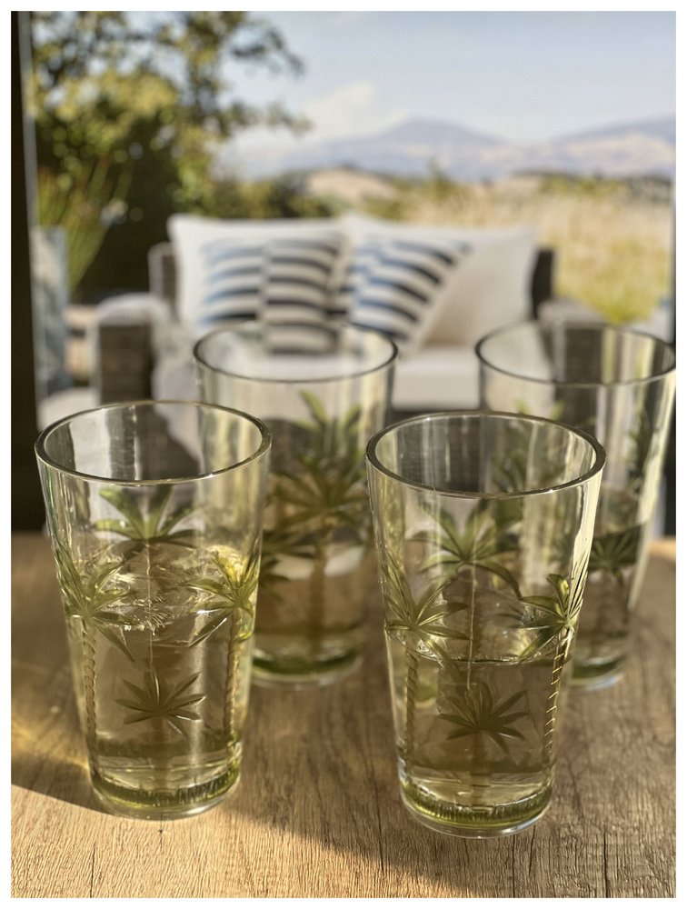 Juego de cuatro vasos altos de acrílico transparente y verde con forma de palmera