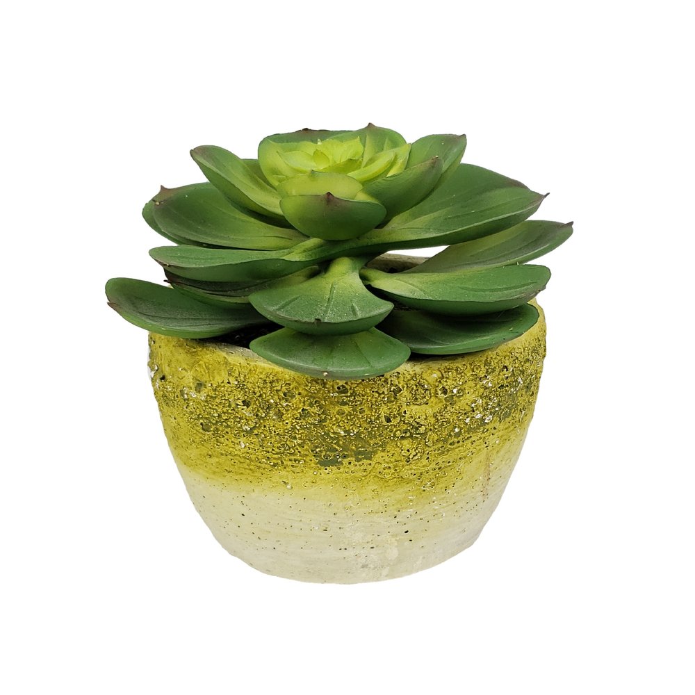 4" Green Succulent Artificial Succulent in a White And Yellow Pot