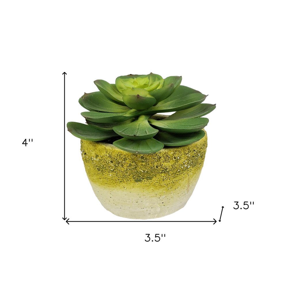 4" Green Succulent Artificial Succulent in a White And Yellow Pot
