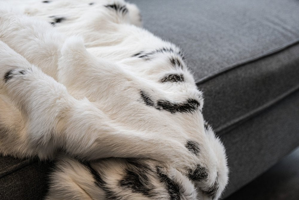 50" X 60" Black And White Rabbit Fur Plush Throw Blanket