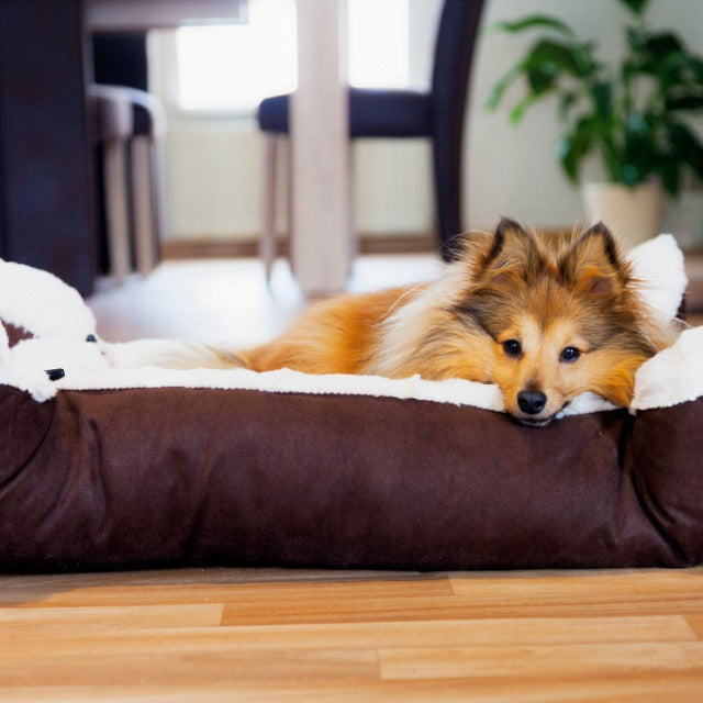 Dog Beds