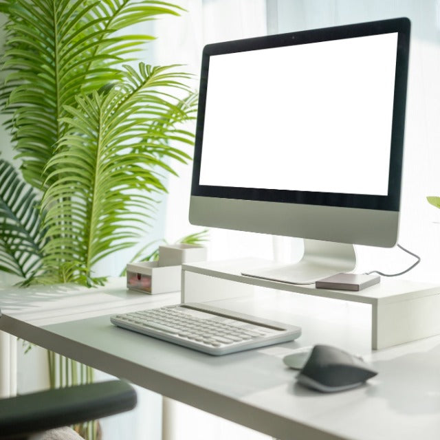 Office Ergonomic Accessories