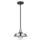Silver Shallow Plate Adjustable Pendant Light
