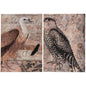 Set of Two Brown Wood Framed Art