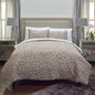 Blush Floral Queen Quilt