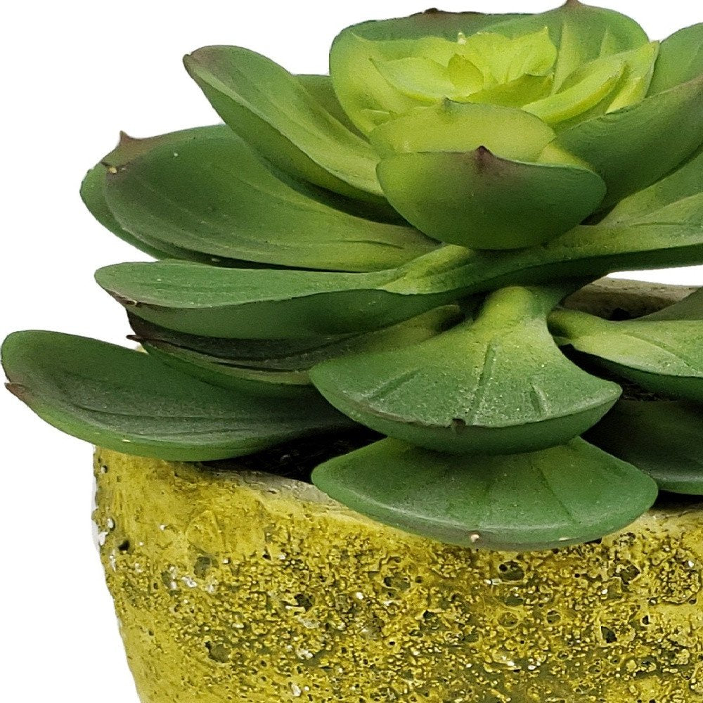 4" Green Succulent Artificial Succulent in a White And Yellow Pot