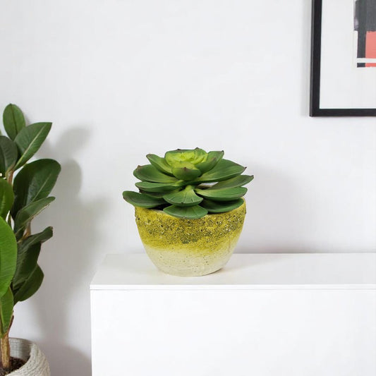 4" Green Succulent Artificial Succulent in a White And Yellow Pot