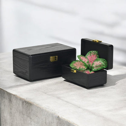 Set Of Two Black Solid Wood Jewelry Box