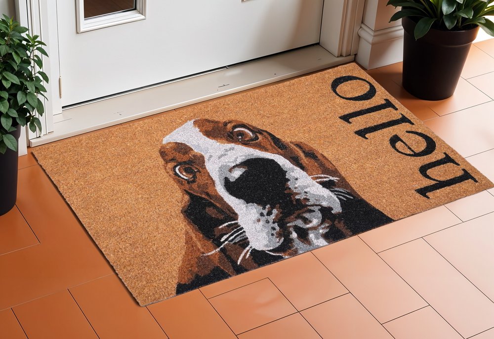 17" X 29" Natural And Red Coir Dog Outdoor Door Mat