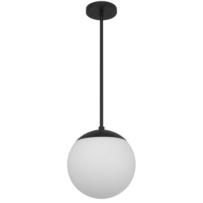 10" Black And White Frosted LED Dimmable Outdoor Globe Hanging Light