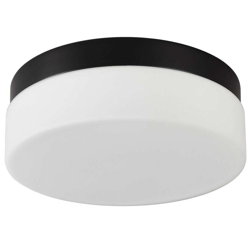 LED Commercial Ceiling Light