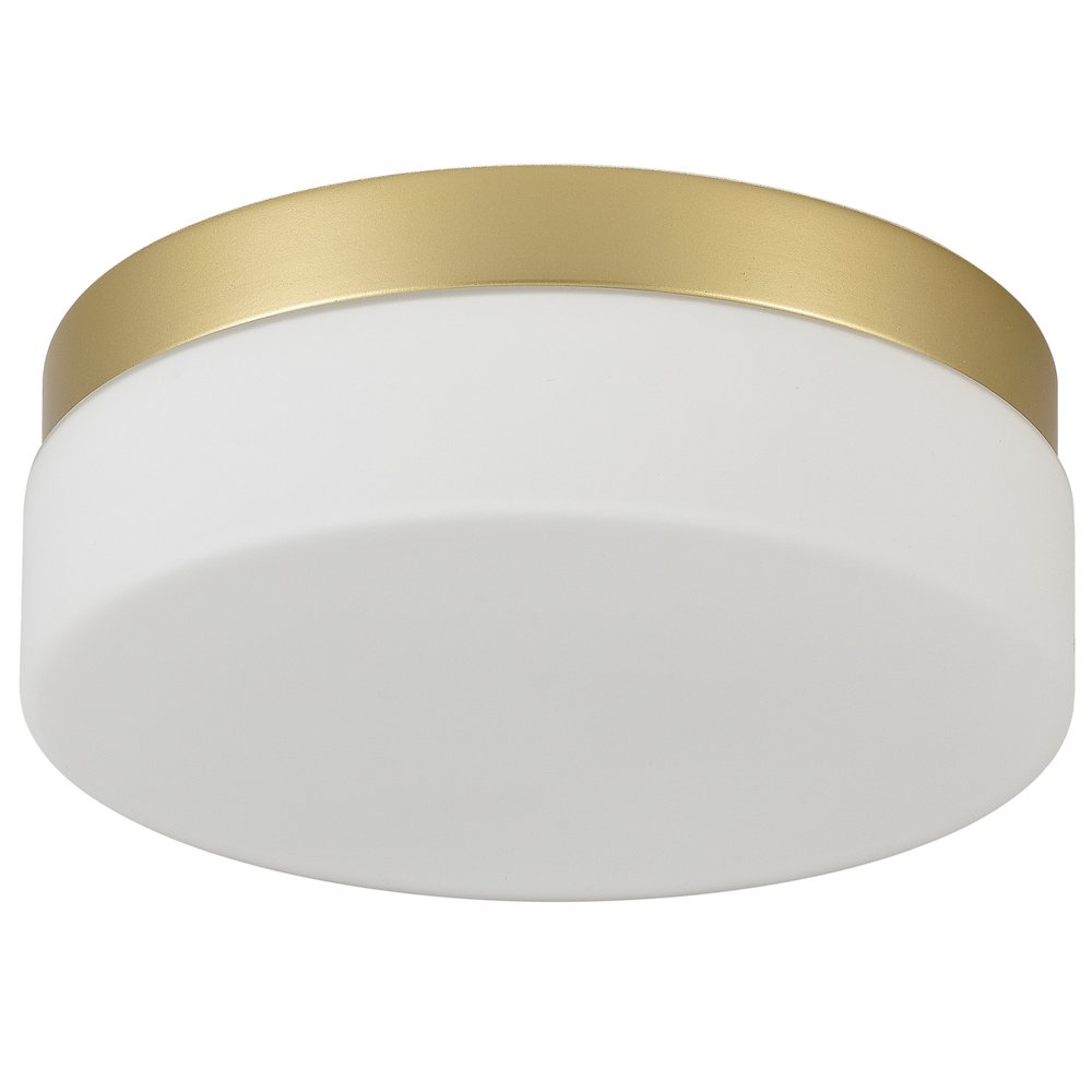 LED Commercial Ceiling Light