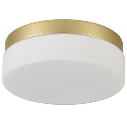 LED Commercial Ceiling Light