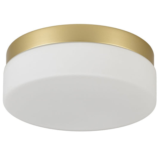 LED Commercial Ceiling Light