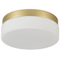 LED Commercial Ceiling Light