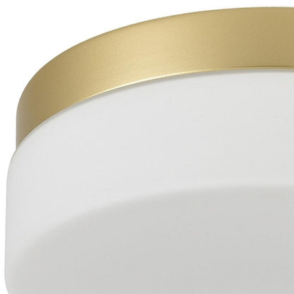 LED Commercial Ceiling Light