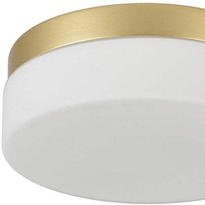 LED Commercial Ceiling Light