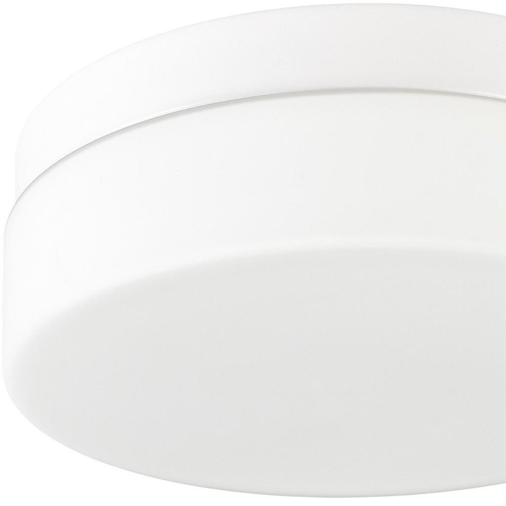 LED Commercial Ceiling Light