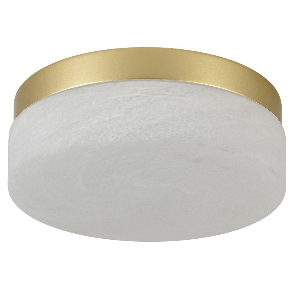 LED Commercial Ceiling Light