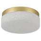 LED Commercial Ceiling Light