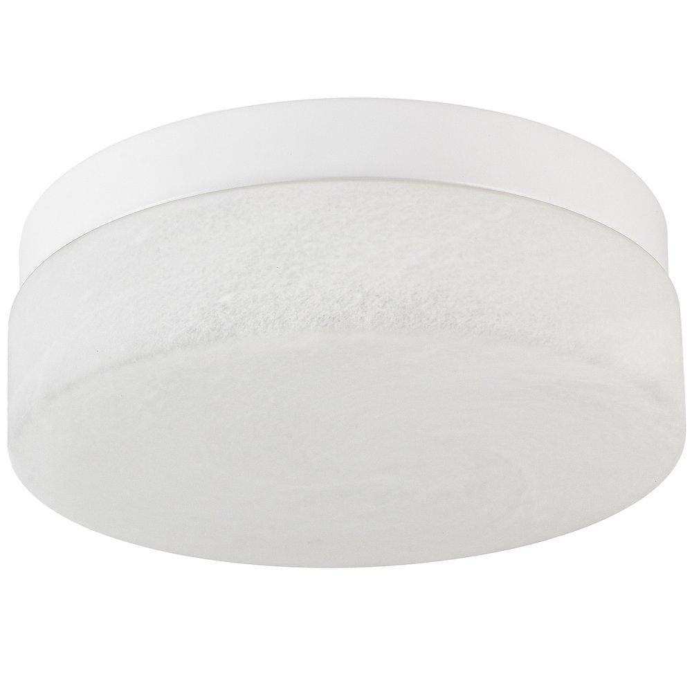 LED Commercial Ceiling Light