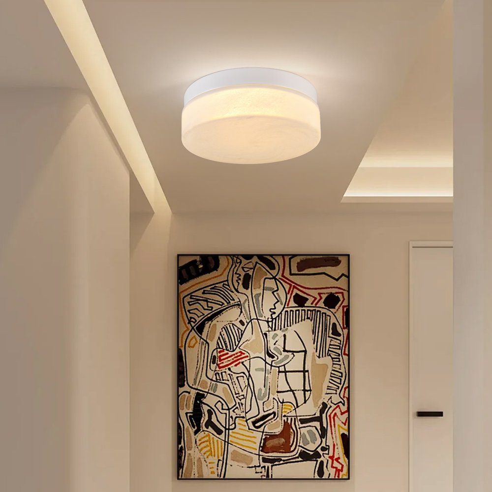 LED Commercial Ceiling Light